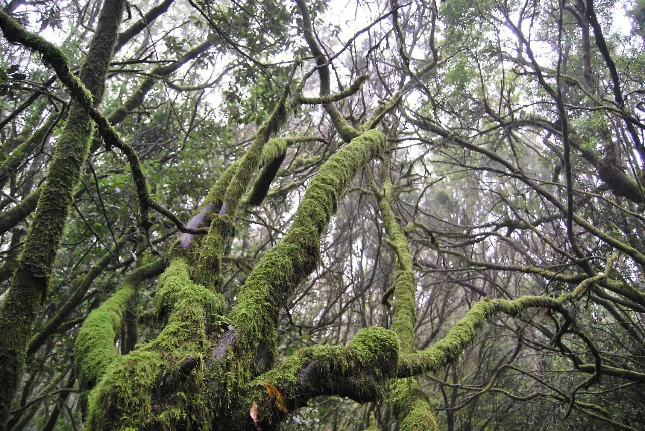 Los Frailes I San Sebastián de la Gomera 0*,  España